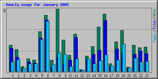 Hourly usage for January 2005